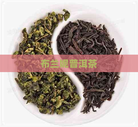 布兰妮普洱茶