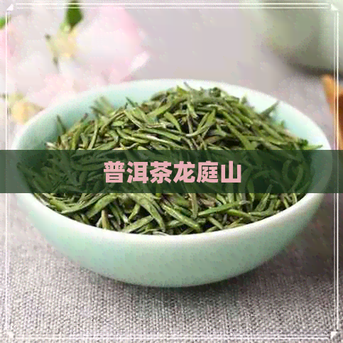 普洱茶龙庭山