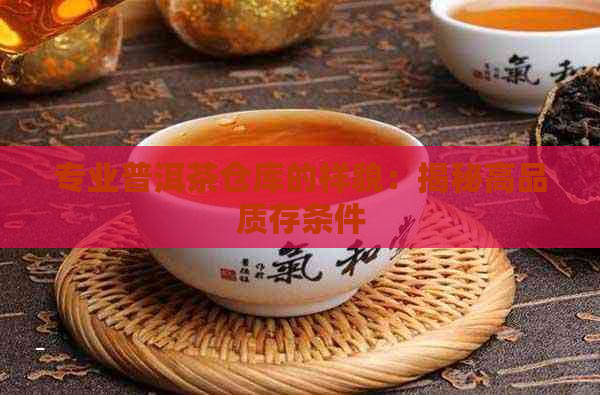 专业普洱茶仓库的样貌：揭秘高品质存条件