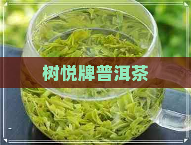 树悦牌普洱茶