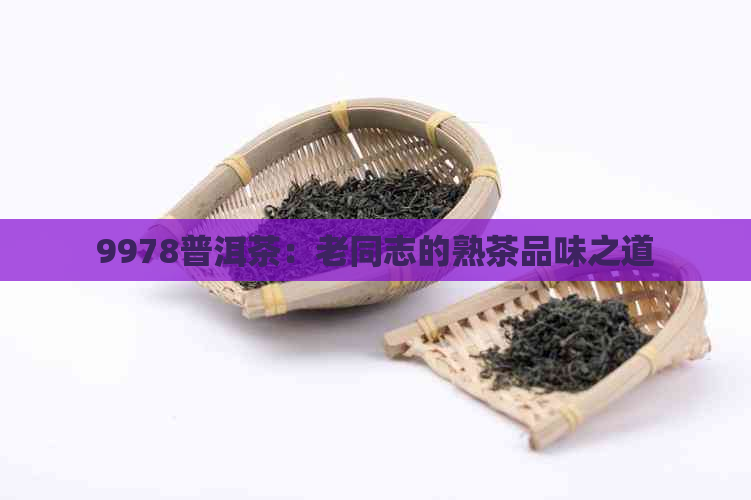 9978普洱茶：老同志的熟茶品味之道