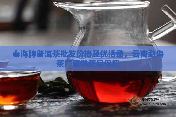 春海牌普洱茶批发价格及优活动，云南勐海茶厂直供正品保障