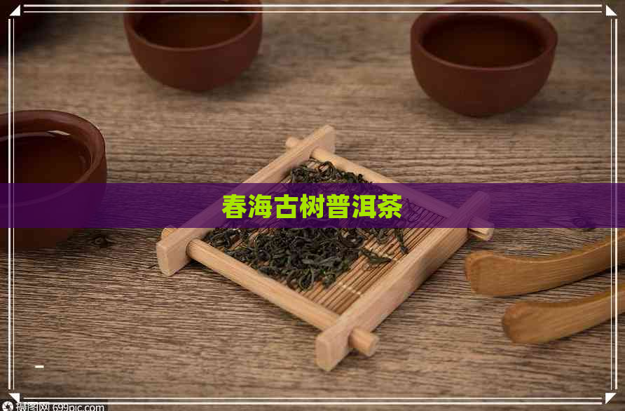 春海古树普洱茶