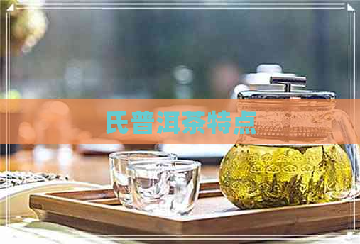 氏普洱茶特点