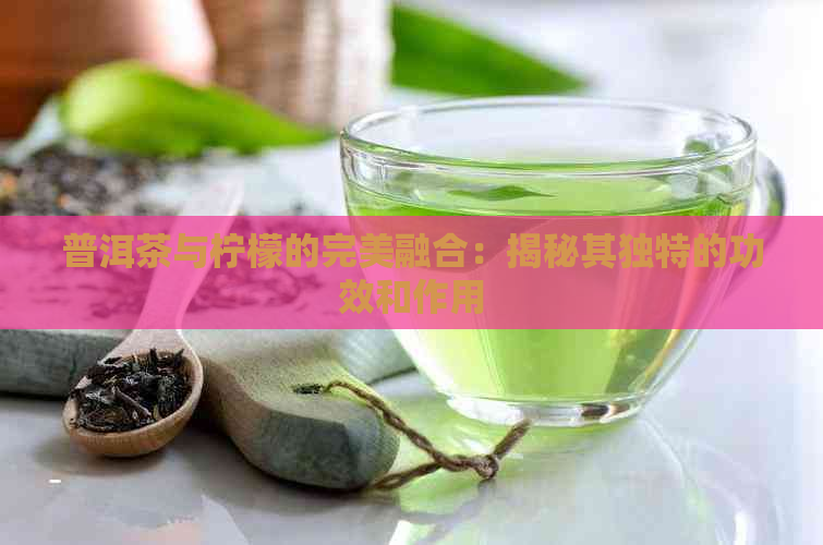 普洱茶与柠檬的完美融合：揭秘其独特的功效和作用