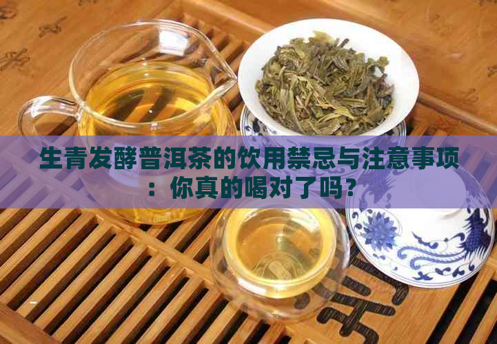 生青发酵普洱茶的饮用禁忌与注意事项：你真的喝对了吗？