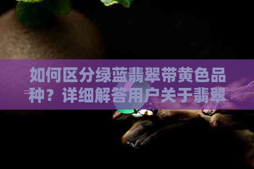 如何区分绿蓝翡翠带黄色品种？详细解答用户关于翡翠颜色差异的疑问