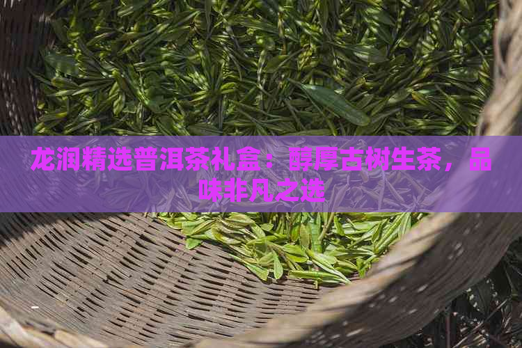 龙润精选普洱茶礼盒：醇厚古树生茶，品味非凡之选