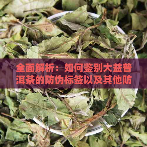 全面解析：如何鉴别大益普洱茶的防伪标签以及其他防伪特征，确保购买正品茶