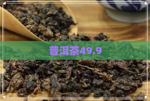 普洱茶49.9