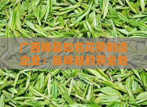 广西横县知名花茶制造企业：品味越的茶业魅力