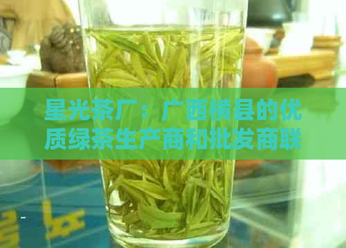 星光茶厂：广西横县的优质绿茶生产商和批发商联系方式