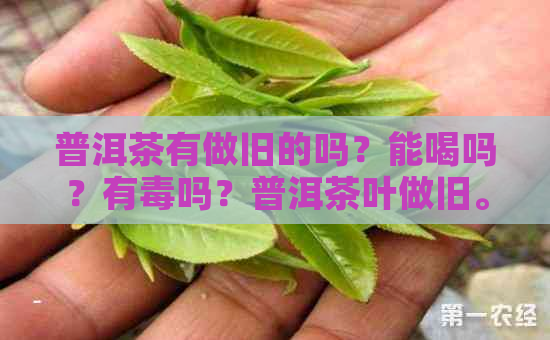 普洱茶有做旧的吗？能喝吗？有吗？普洱茶叶做旧。