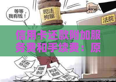 信用卡还款附加服务费和手续费：原因与解决策略全面解析