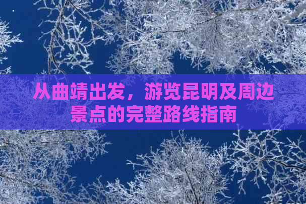 从曲靖出发，游览昆明及周边景点的完整路线指南