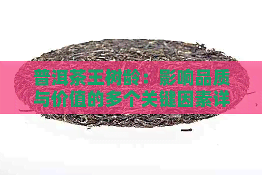 普洱茶王树龄：影响品质与价值的多个关键因素详解