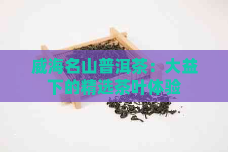 威海名山普洱茶：大益下的精选茶叶体验