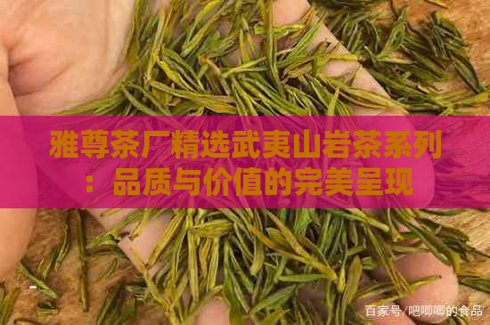 雅尊茶厂精选武夷山岩茶系列：品质与价值的完美呈现