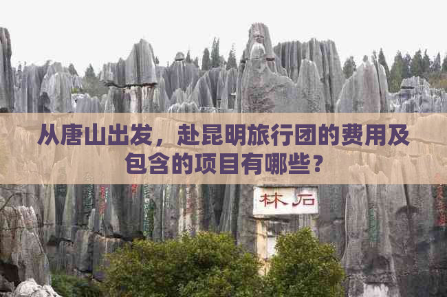 从唐山出发，赴昆明旅行团的费用及包含的项目有哪些？