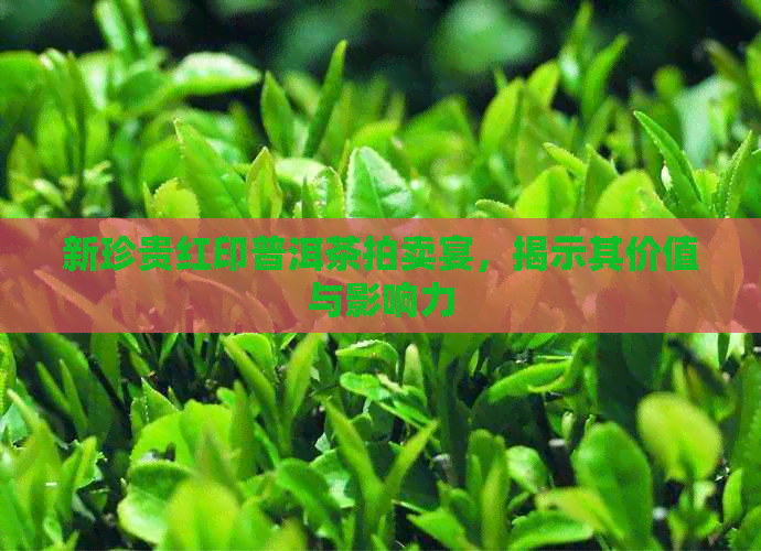 新珍贵红印普洱茶拍卖宴，揭示其价值与影响力