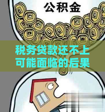 税务贷款还不上可能面临的后果及其应对策略：全面解析与解决方案