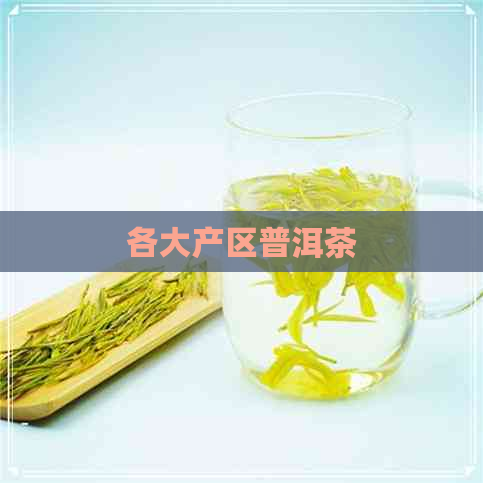 各大产区普洱茶