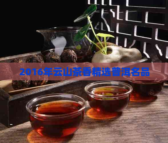 2016年云山茶香精选普洱名品