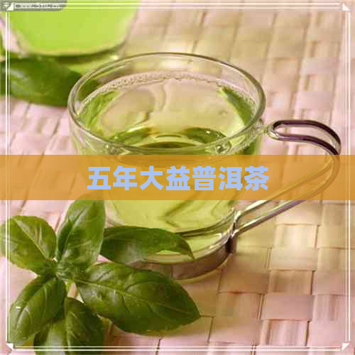 五年大益普洱茶