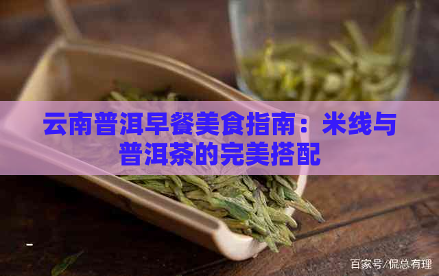 云南普洱早餐美食指南：米线与普洱茶的完美搭配