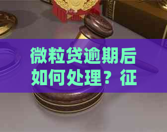 微粒贷逾期后如何处理？影响与解决方案全面解析