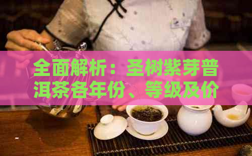 全面解析：圣树紫芽普洱茶各年份、等级及价格一览，助您轻松选购！