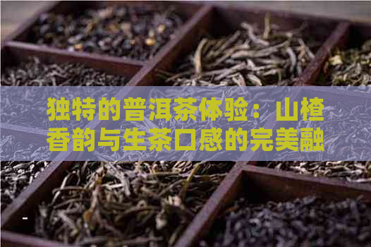 独特的普洱茶体验：山楂香韵与生茶口感的完美融合