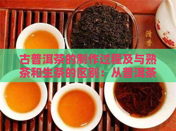 古普洱茶的制作过程及与熟茶和生茶的区别：从普洱茶的历、原料到工艺解析