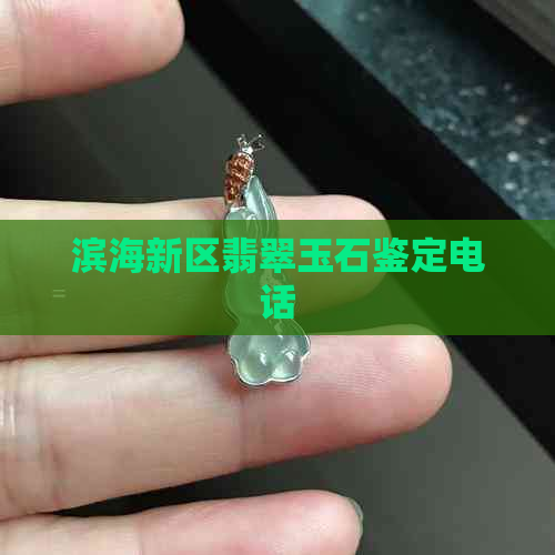 滨海新区翡翠玉石鉴定电话