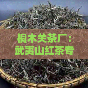 桐木关茶厂：武夷山红茶专业生产与销售联系方式