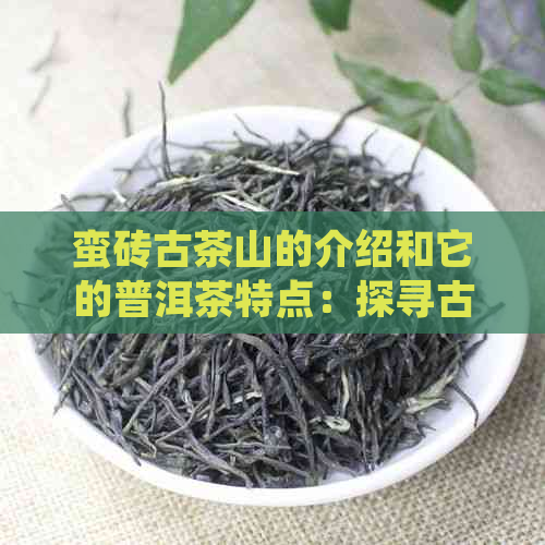 蛮砖古茶山的介绍和它的普洱茶特点：探寻古茶山的魅力与普洱茶的独特风味