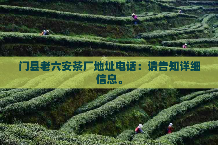 门县老六安茶厂地址电话：请告知详细信息。