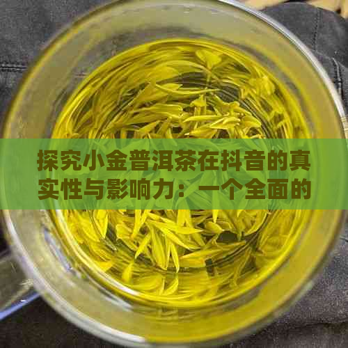 探究小金普洱茶在抖音的真实性与影响力：一个全面的分析