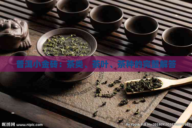 普洱小金砖：茶类、茶叶、茶种的完整解答