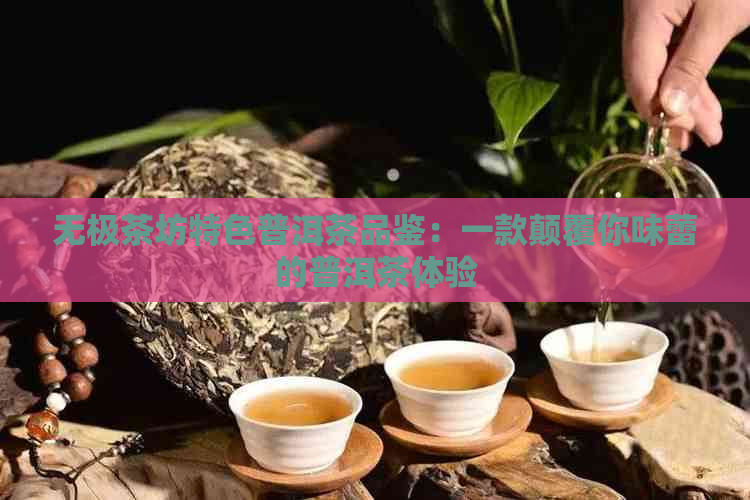 无极茶坊特色普洱茶品鉴：一款颠覆你味蕾的普洱茶体验