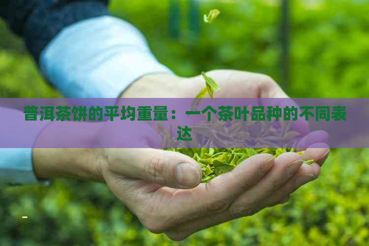 普洱茶饼的平均重量：一个茶叶品种的不同表达