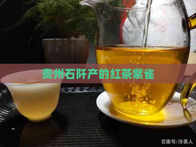 贵州石阡产的红茶紫雀