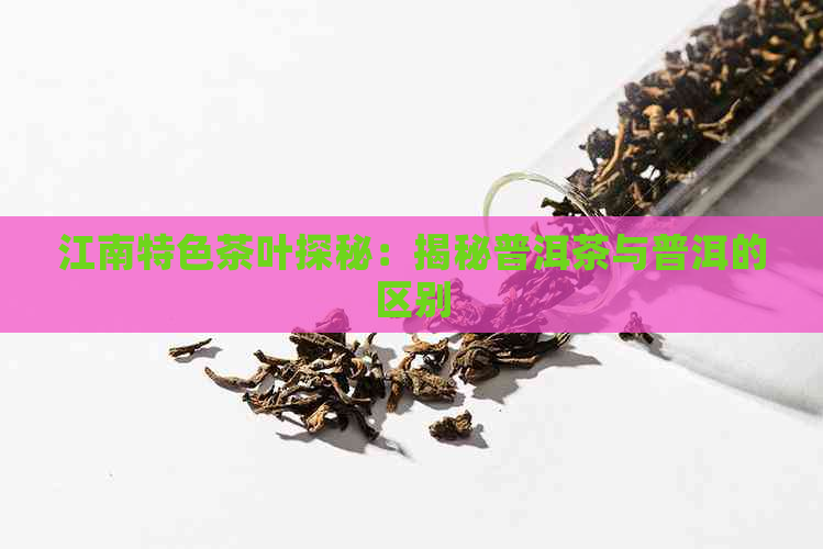 江南特色茶叶探秘：揭秘普洱茶与普洱的区别