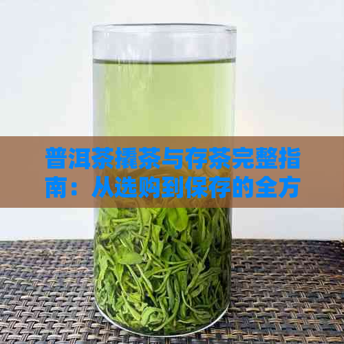 普洱茶撬茶与存茶完整指南：从选购到保存的全方位解答