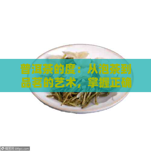 普洱茶的度：从泡茶到品茗的艺术，掌握正确的泡茶方法和饮用度