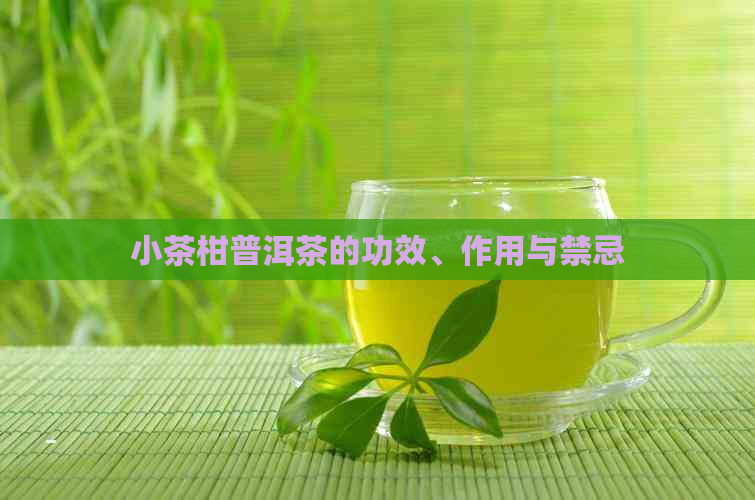 小茶柑普洱茶的功效、作用与禁忌