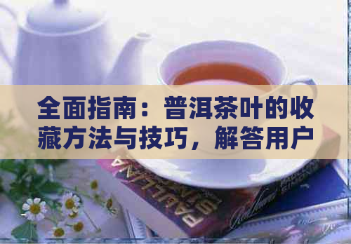 全面指南：普洱茶叶的收藏方法与技巧，解答用户关于保存和品鉴的一切疑问