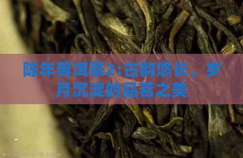 陈年普洱茶2:古韵悠长，岁月沉淀的品茗之美