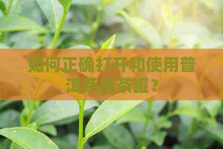 如何正确打开和使用普洱茶纸茶罐？