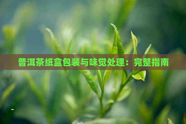 普洱茶纸盒包装与味觉处理：完整指南